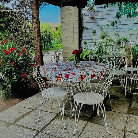 Agriturismo Olivazzi Quattordio エクステリア 写真