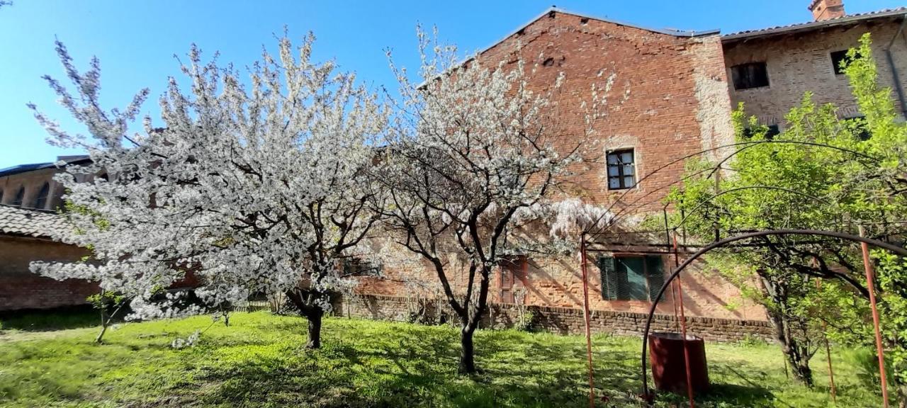 Agriturismo Olivazzi Quattordio エクステリア 写真
