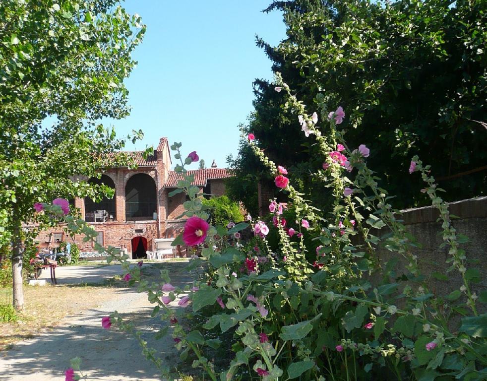 Agriturismo Olivazzi Quattordio エクステリア 写真