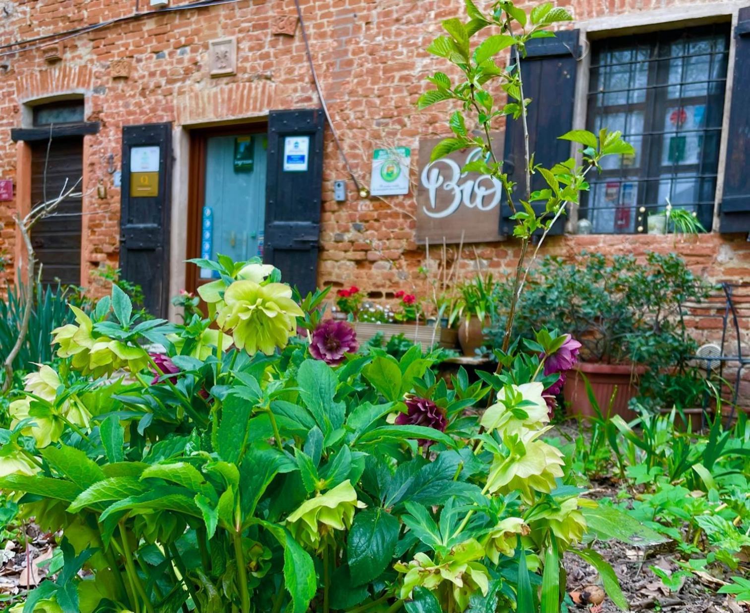 Agriturismo Olivazzi Quattordio エクステリア 写真