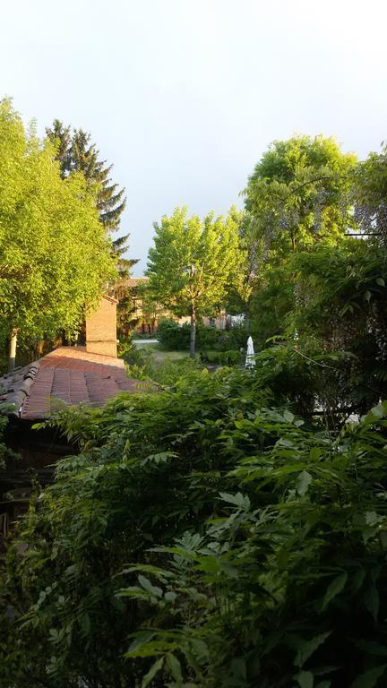 Agriturismo Olivazzi Quattordio エクステリア 写真